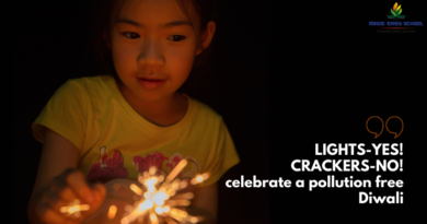 Ill effects of firing crackers; Why should we educate children from a very young age