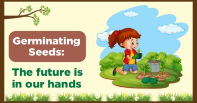 Germinating seeds : The future in our hands